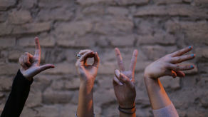 The Bunny On The Wall...