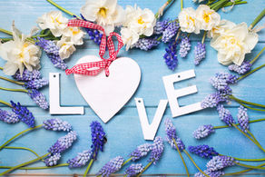 Celebrate Your Journey...