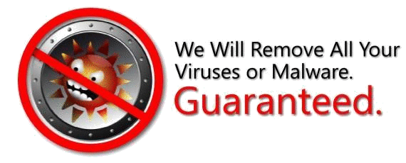 Virus Removal Guarenteed