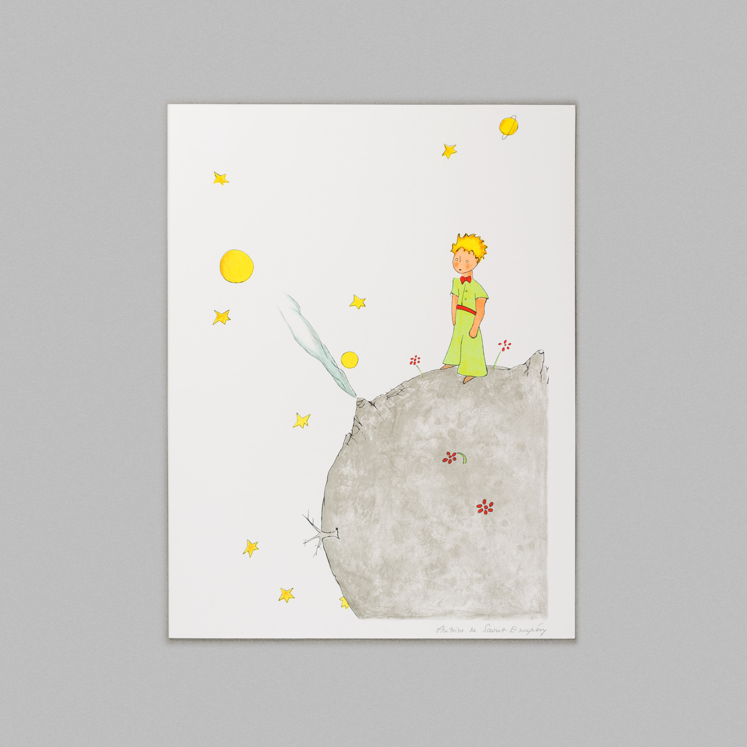 Code 612 Qui A Tué Le Petit Prince Avis Saint-Exupéry - The Little Prince On Asteroid B-612