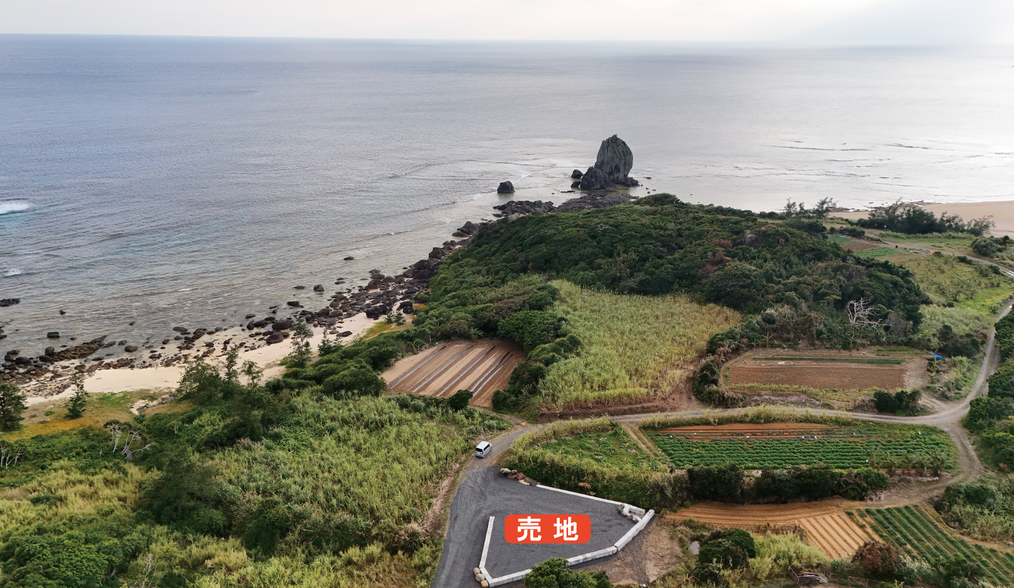 節田小学校校区の売買 物件の外観
