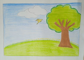 Solitary Tree in the Meadow