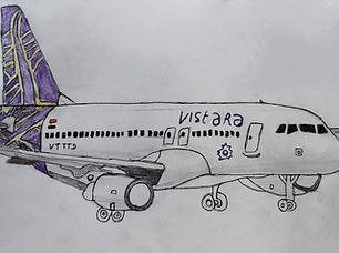 Vistara Airlines