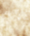 grungy-rough-old-worn-parchment-paper-900x1093.jpg