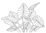 logo leaves