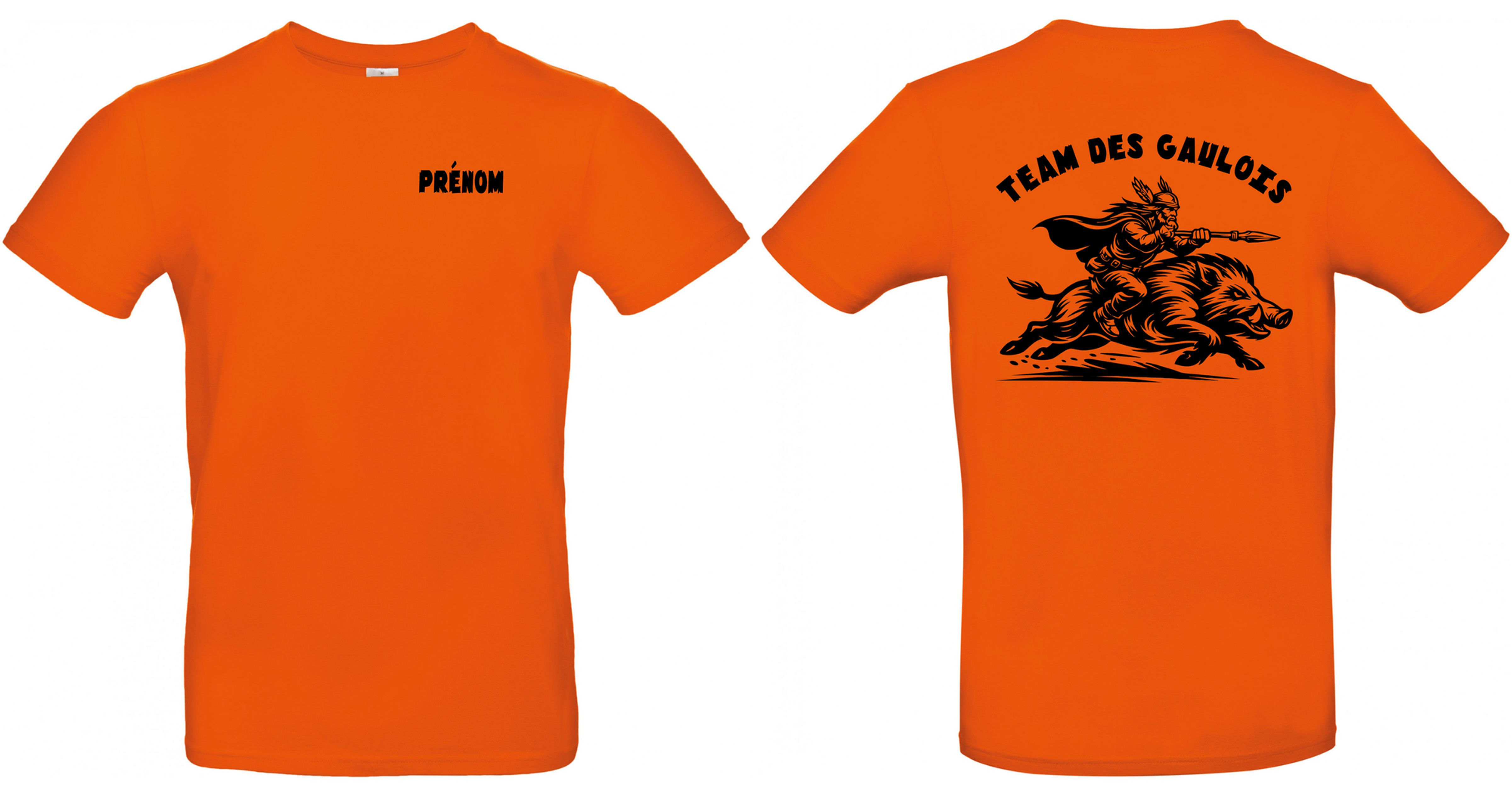 T SHIRT HUMOUR GAULOIS