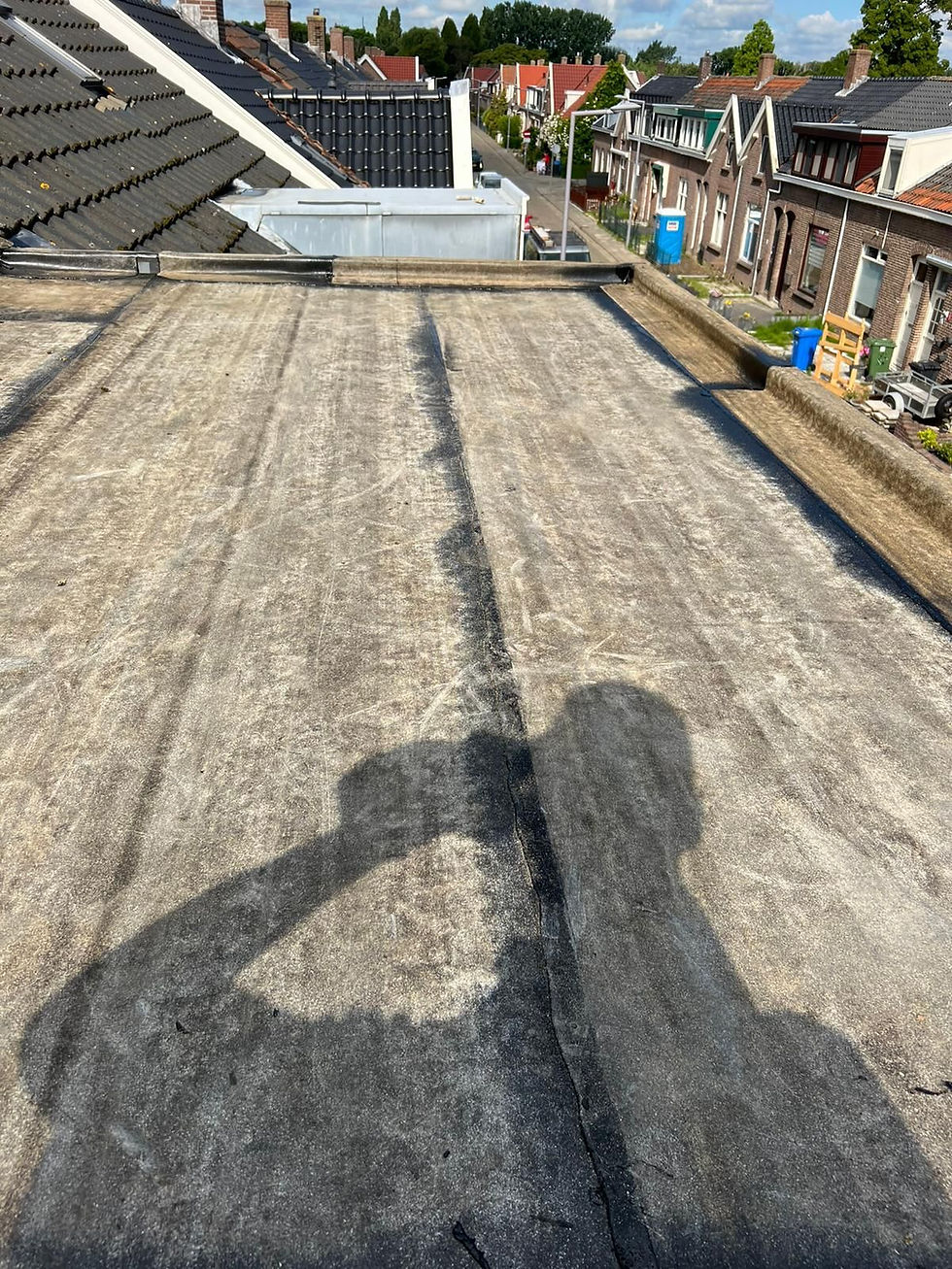 WhatsApp Image 2025-03-23 at 12.39.24 PM.jpeg