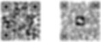 qr_codes.jpg