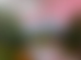 Celebrating Bob Ross's Birthday - Bob Ross Tutorial