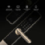 Miniatura: Cerradura Inteligente