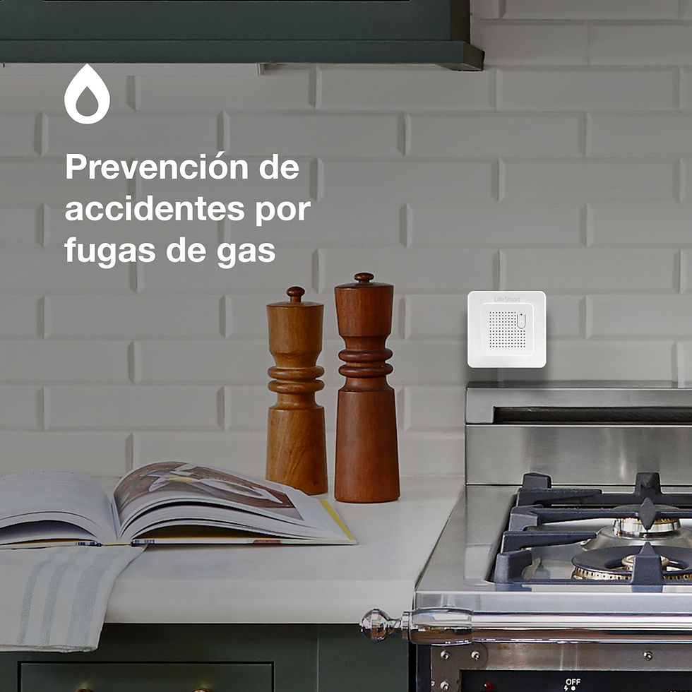 Miniatura: Sensor de Gas