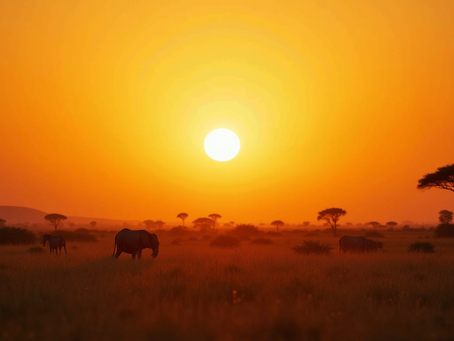 Ultimate Guide to African Great Adventure Tours