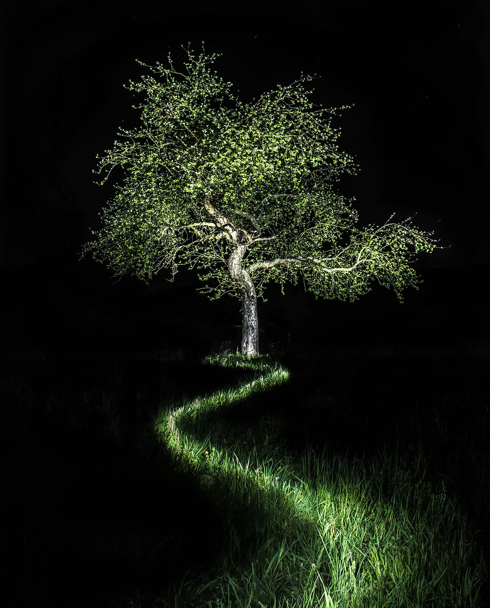 unbenannt-3 Kopie.jpg