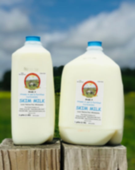 SKIM MILK GALLON
