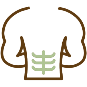 חיזוק-שרירי-ליבה.png