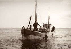Bátar