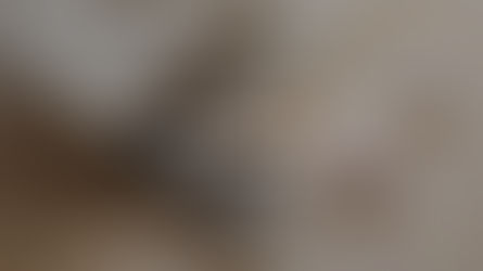 Bolsas com Estilo Próprio