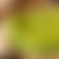 Tortillas…sans carbs!