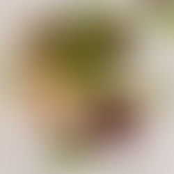 Poitrine de poulet betterave et chèvre poivré