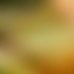 Potage aux poireaux protéiné