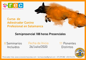 Carte semipresenciall.jpeg
