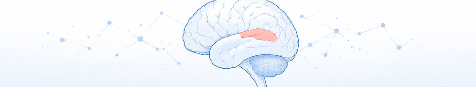defect_brain.png