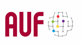 Bolsas de investigação Eugen Ionescu  