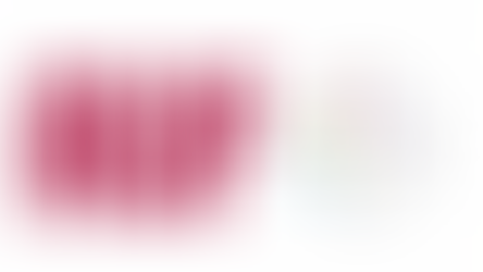 Bolsas de investigação Eugen Ionescu  