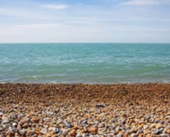 Screenshot 2026-02-25 190238.png