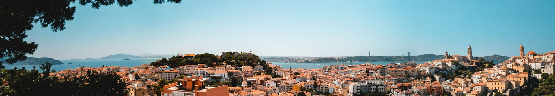 Screenshot 2026-02-28 093207_edited.jpg