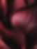 10a51f02459e9d7db855b1ded904cfb3.jpg
