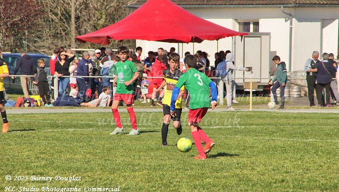IMG_2115.jpg