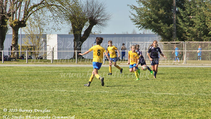 IMG_1241.jpg