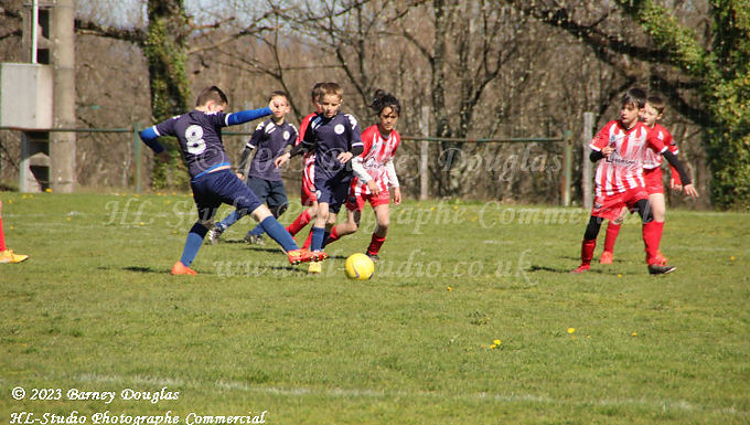 IMG_8558.jpg
