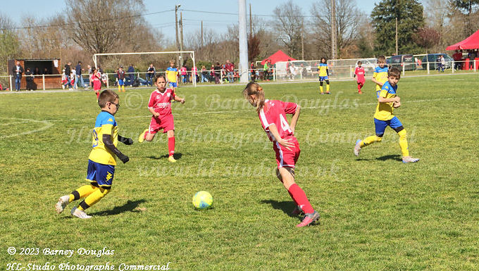 IMG_0833.jpg