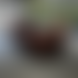  Récupération des Contrôles au Volant : Une Installation Parfaite pour Notre Client