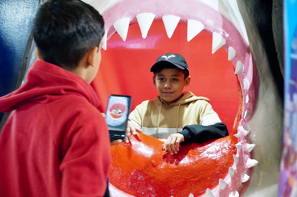 Crianças aprendem na prática como preservar o oceano em evento gratuito em São Paulo