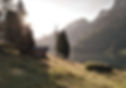 77C6FD11-F885-47C9-A530-66EAADFDA660_edited_edited_edited.jpg