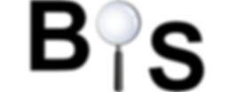 BIS-Logo-For-Homepage2.png
