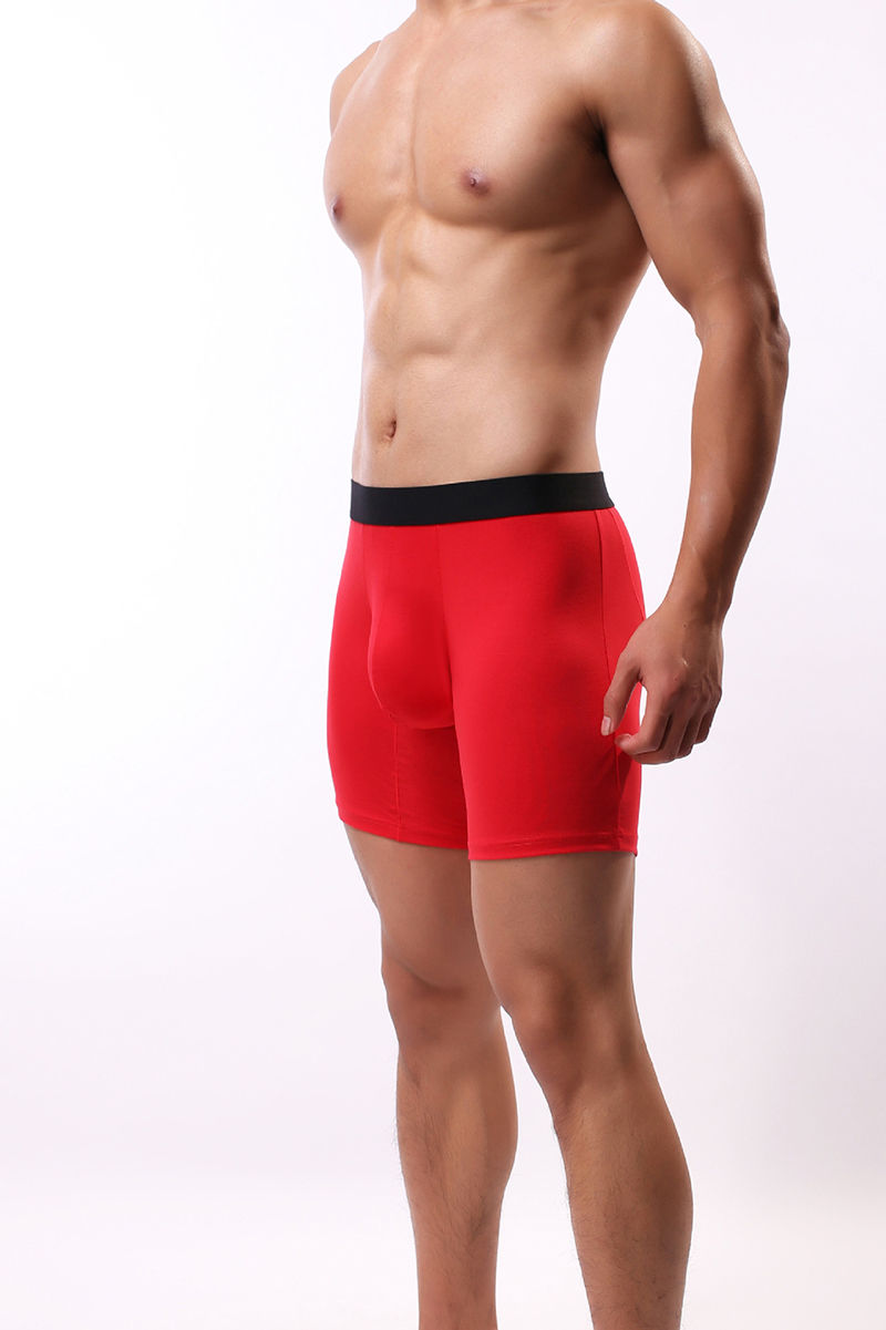 Miniature : Boxer Bermuda B2