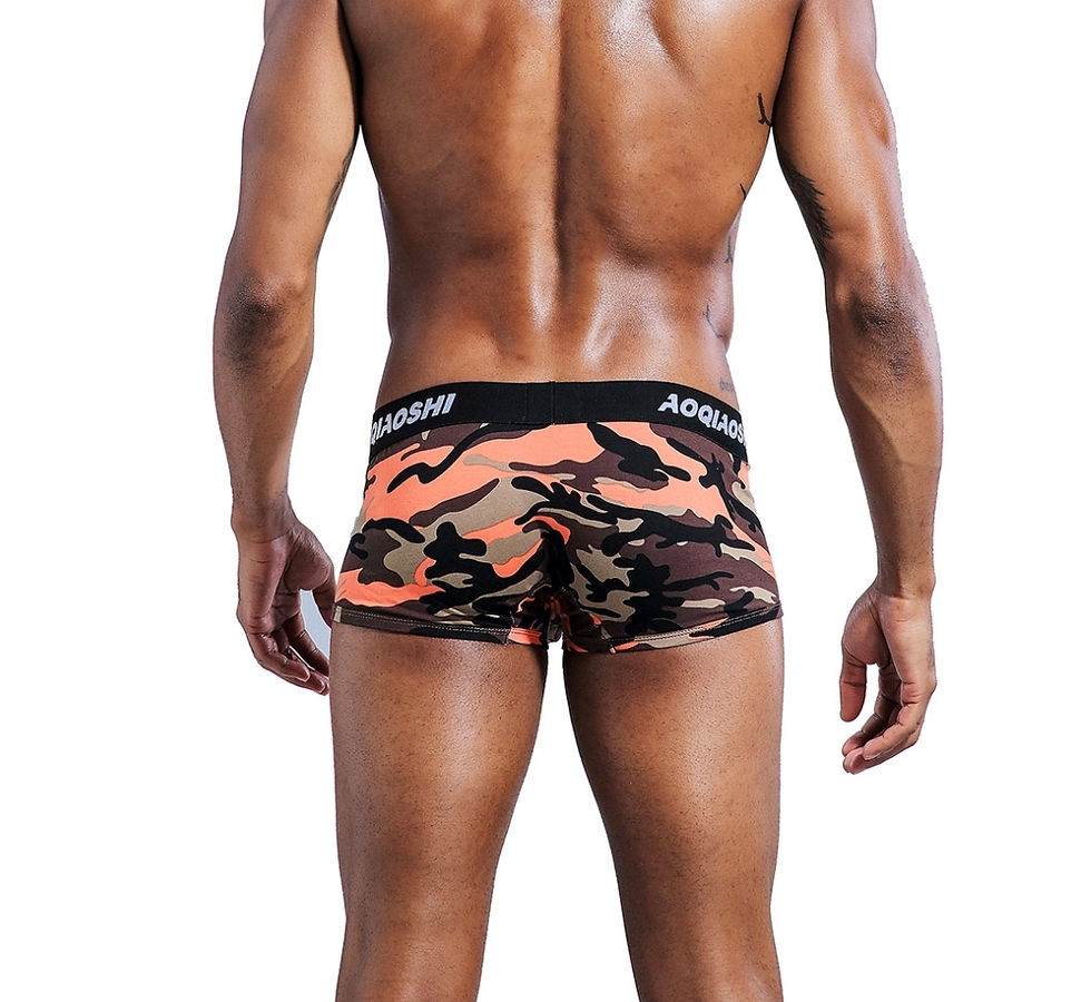 Miniature : Pack 4 Boxer Chester