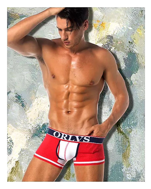 Miniature : Packs de 3 und. Boxer 