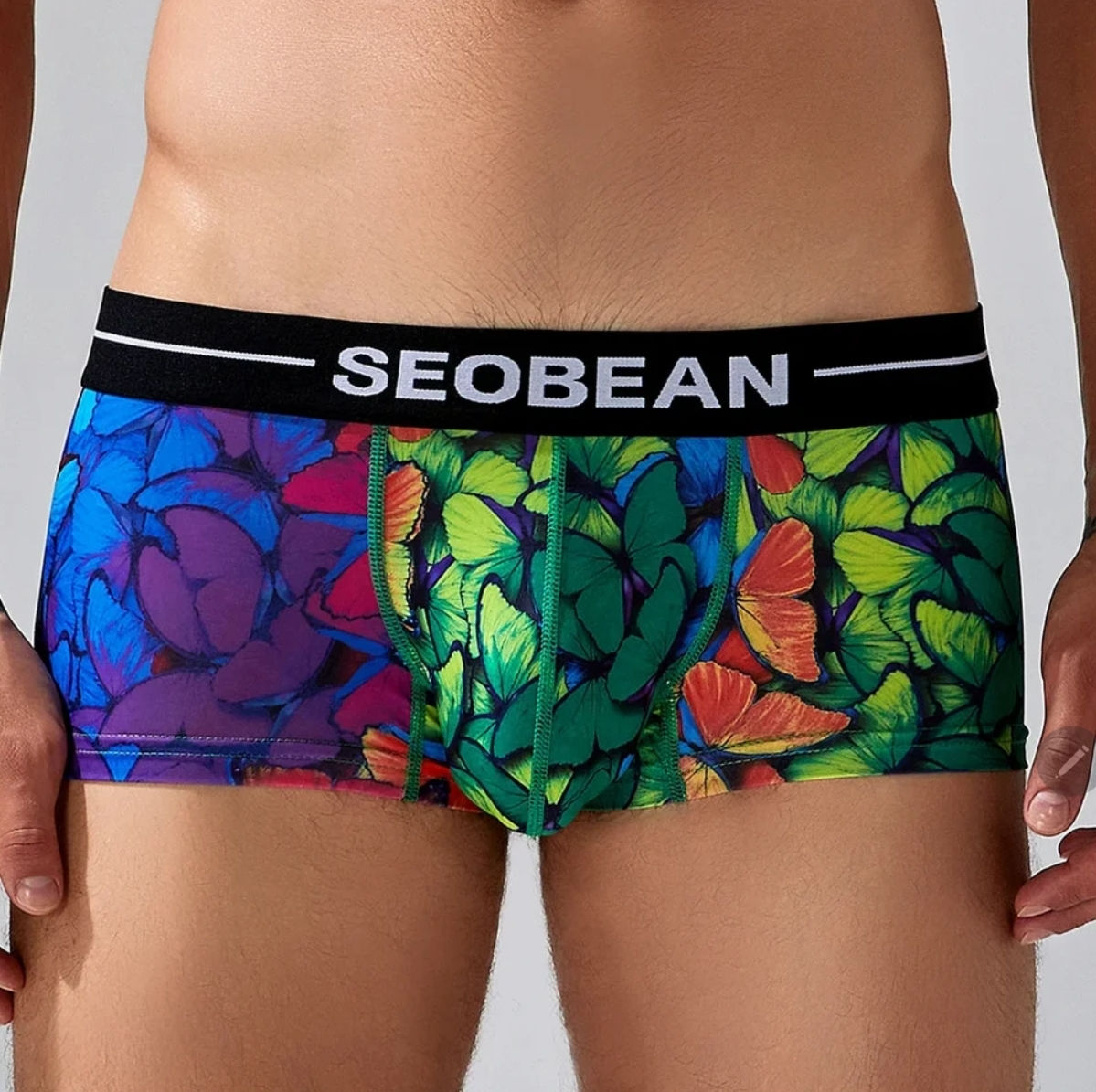 Boxer Seobean
