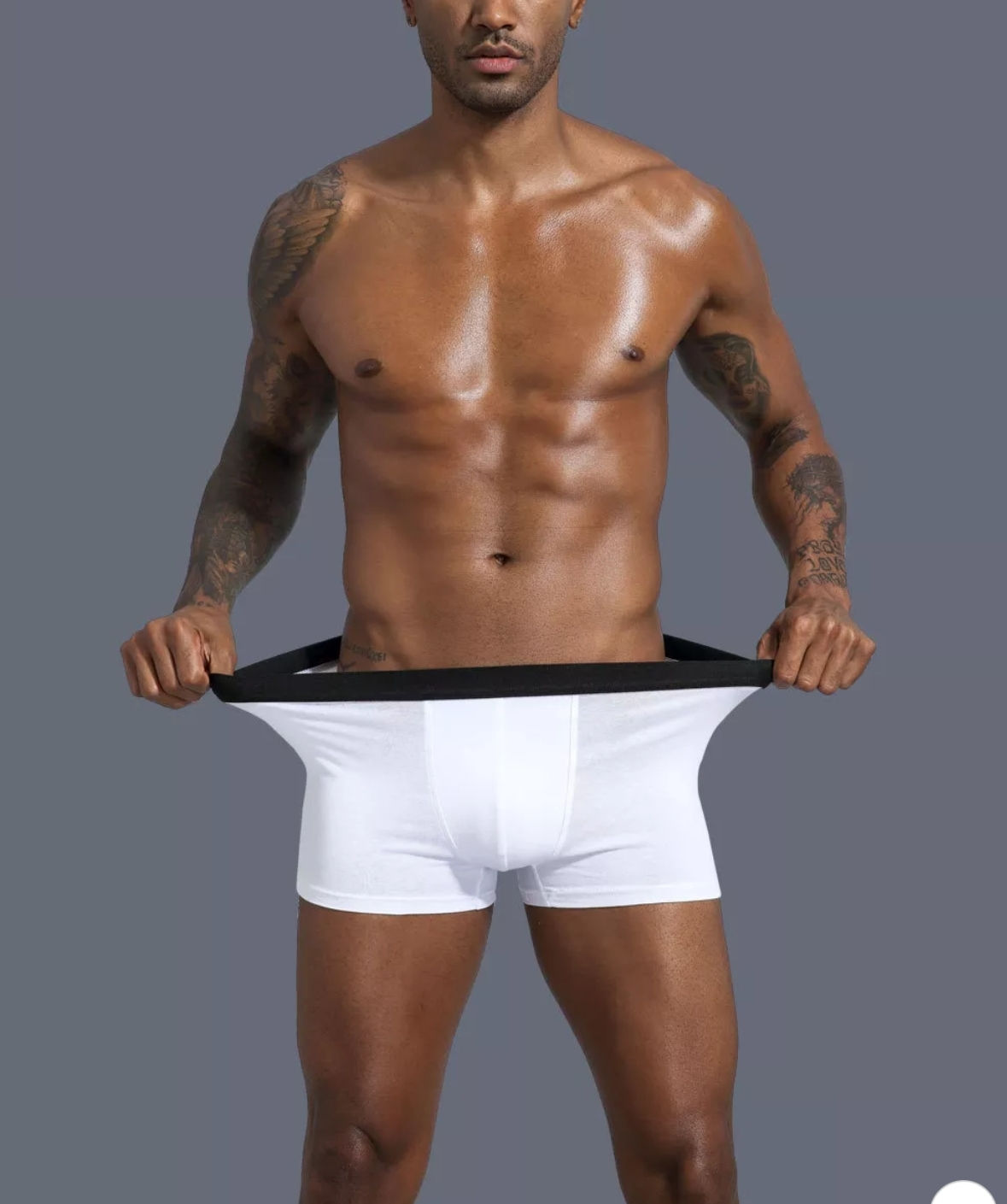 Pack 5 und. Boxer TEN