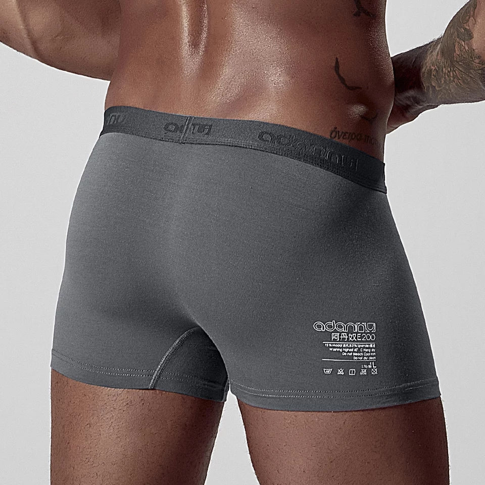 Miniature : Boxer Confort