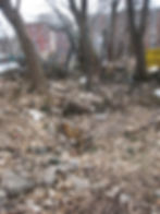 2009 - Before