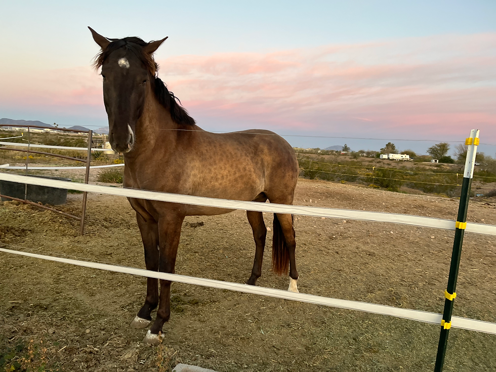 Thumbnail: Oido del Solis