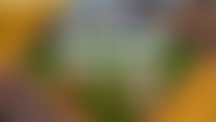 Orioles Outing: Yankees @ Orioles