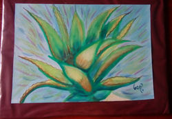 Maguey 25X17,5 (Acuarela)