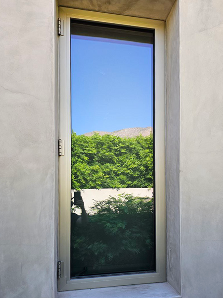 Tall window framing a green tree and blue sky background.